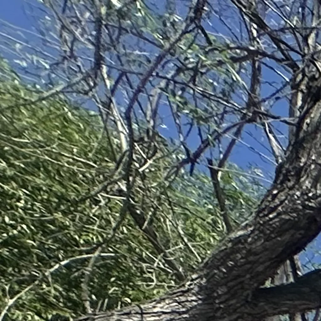 custom new home construction with pool in southern california 05