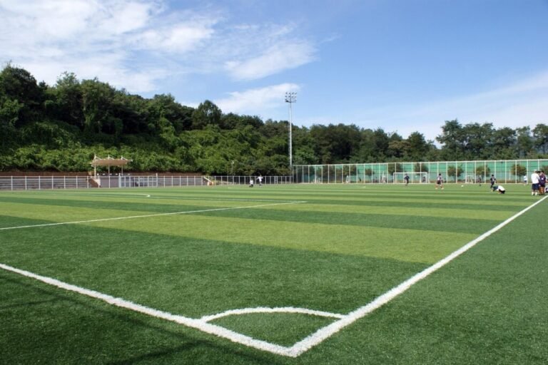 Artificial Turf Timeline, Permits, and Preparation Tips 4 Artificial Turf Timeline, Permits, and Preparation Tips