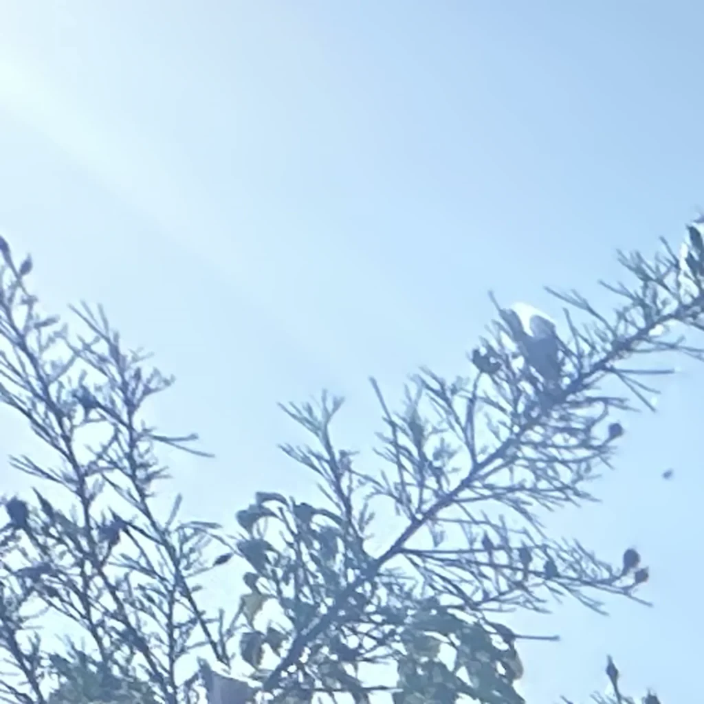 shingle roof replacement in culver city 90230 08 1