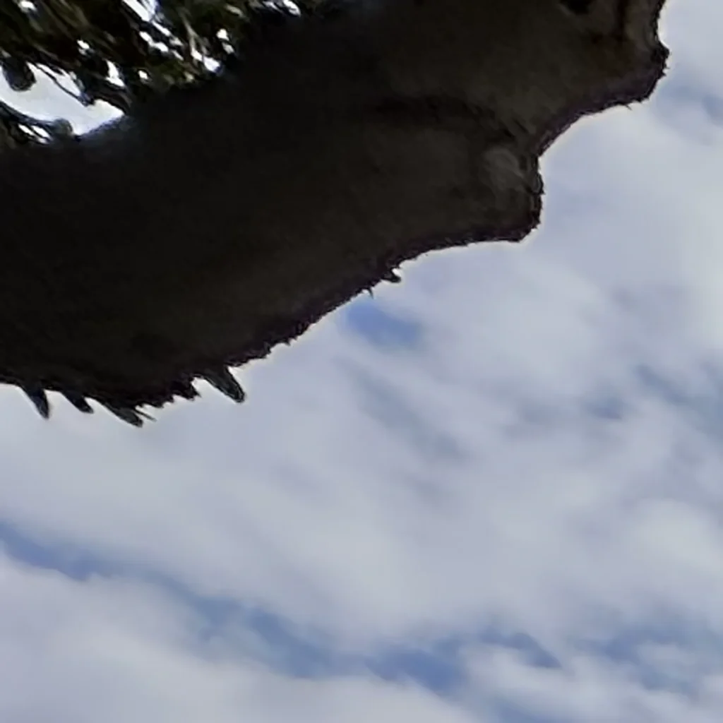 shingle roof replacement in lakewood 90713 06