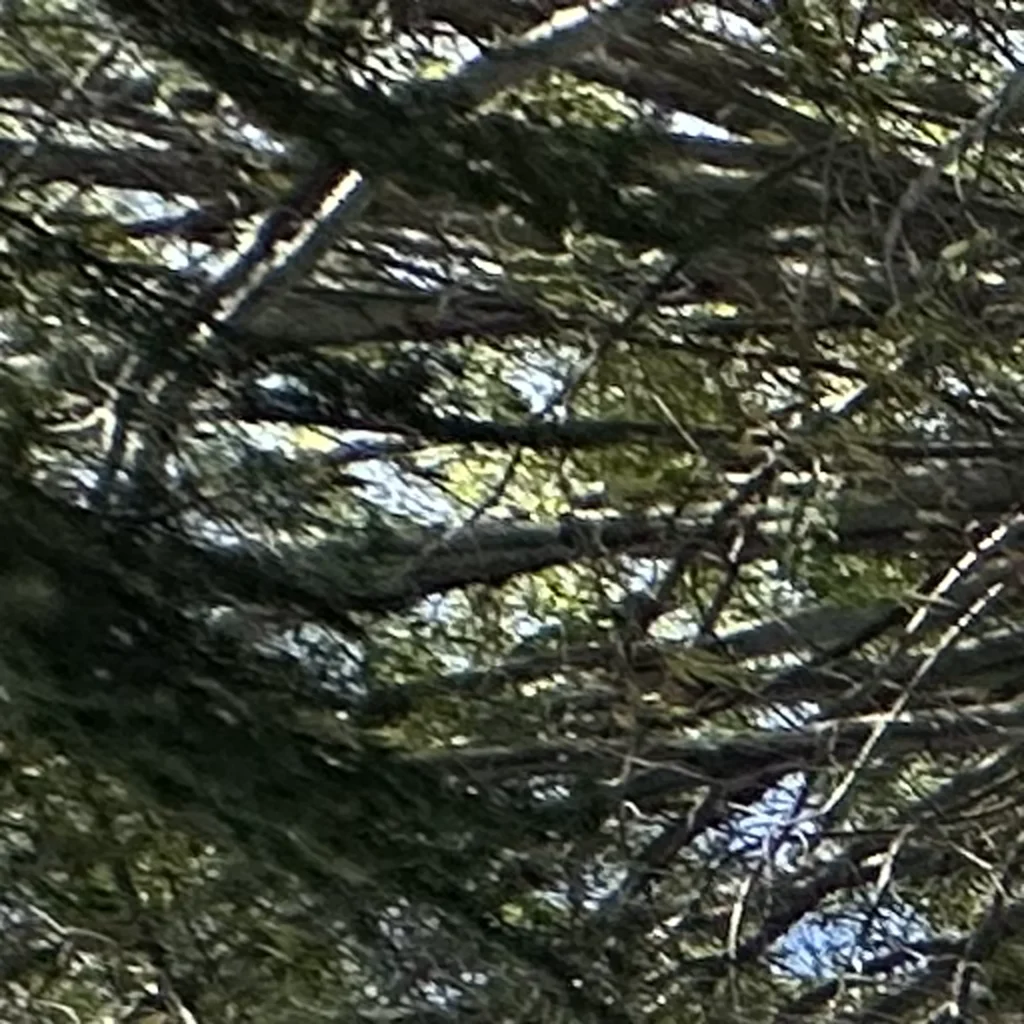 shingle roof replacement in sherman oaks 91403 05