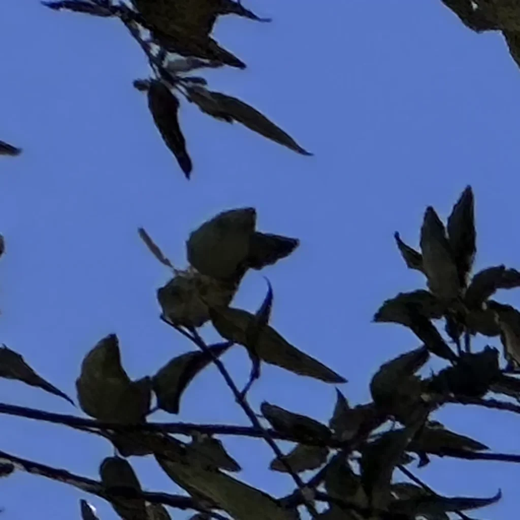 tile roof project in cerritos 90703 05