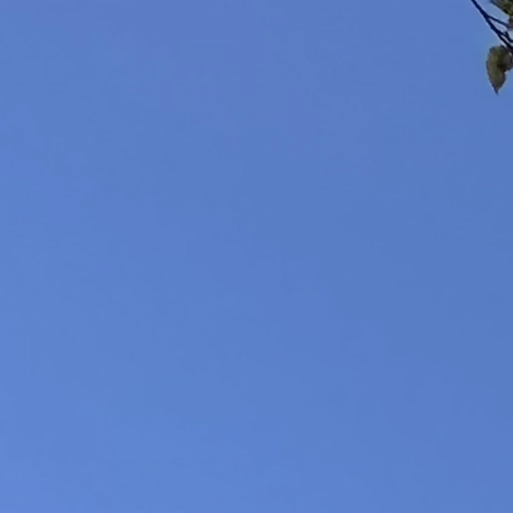 tile roof project in cerritos 90703 07