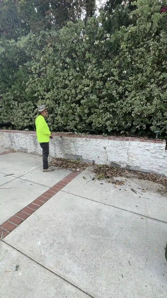 Landscaping preparation along the boundary of a Southern California custom home project